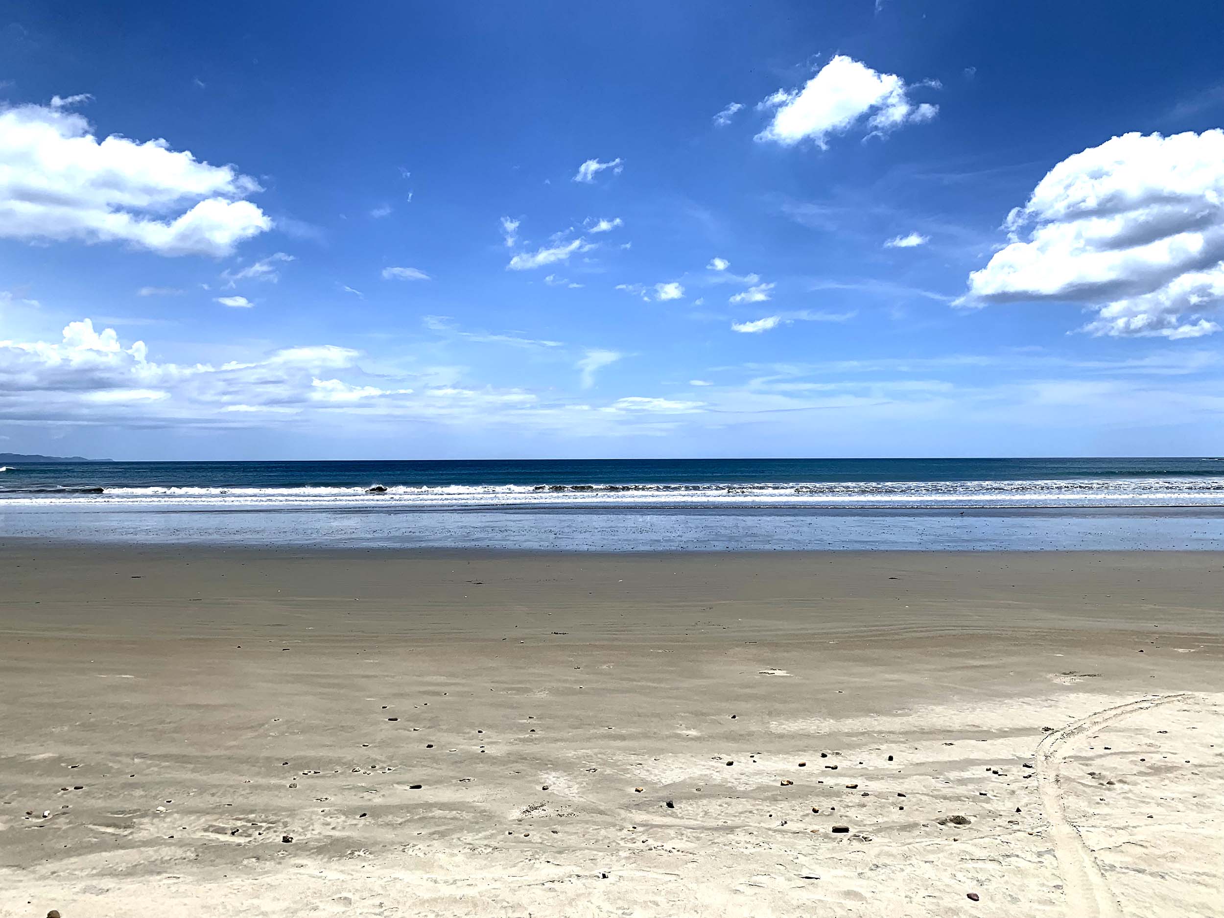 playa Ostional Nicaragua